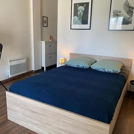 21m² Rue De France Apartman *